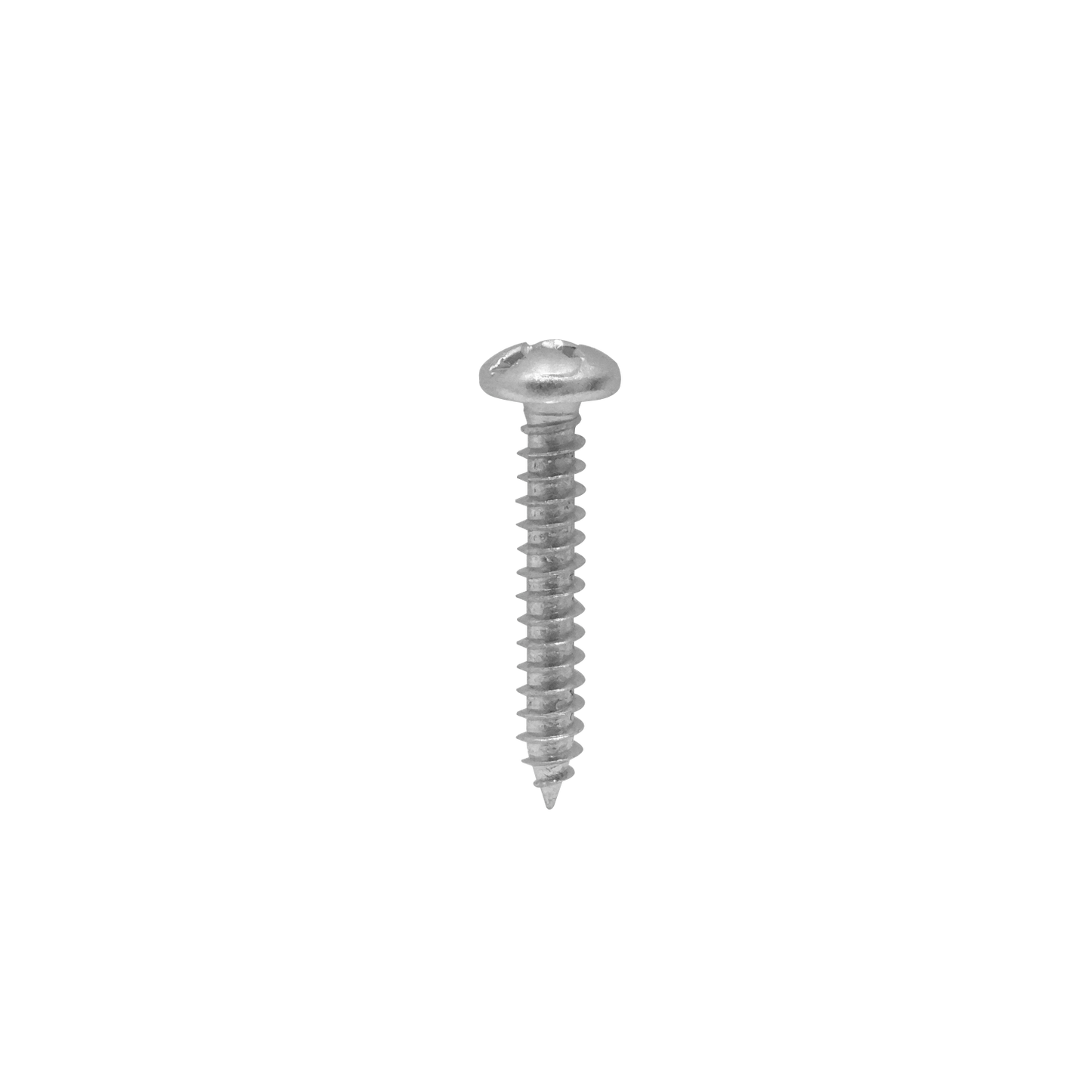 R12-125 20-unids. 12 x 1 1/4 Largo-32mm Plata Cruz Tornillos Roscalata Punta