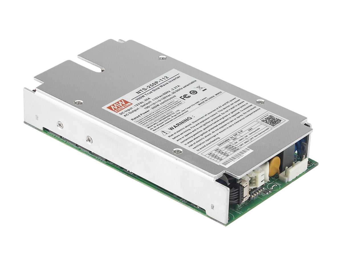 Inversor onda pura gabinete 250W NTS-250P - 48VDC - 110VAC