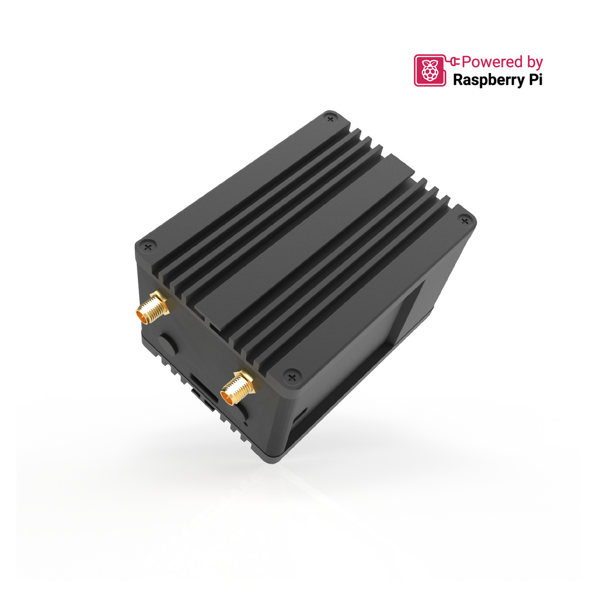 WisGate Developer D4H AU915 2GB RPi4