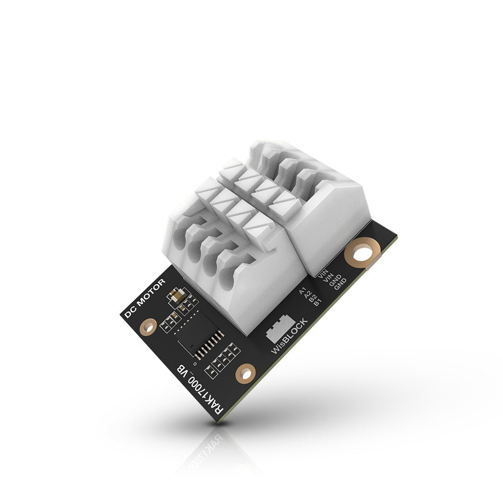 Módulo de control de motores Texas Instruments DRV8833 RAK17000