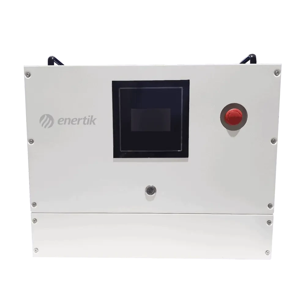 Cargador Automático de Baterías Trifásico – 100A 48~120V