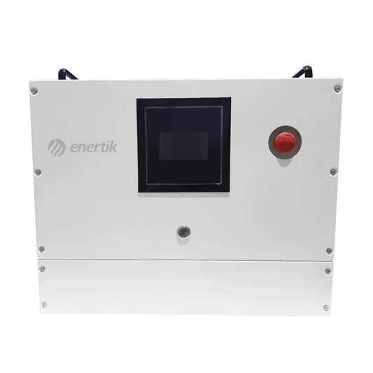 Cargador Automático de Baterías Trifásico – 100A 48~120V