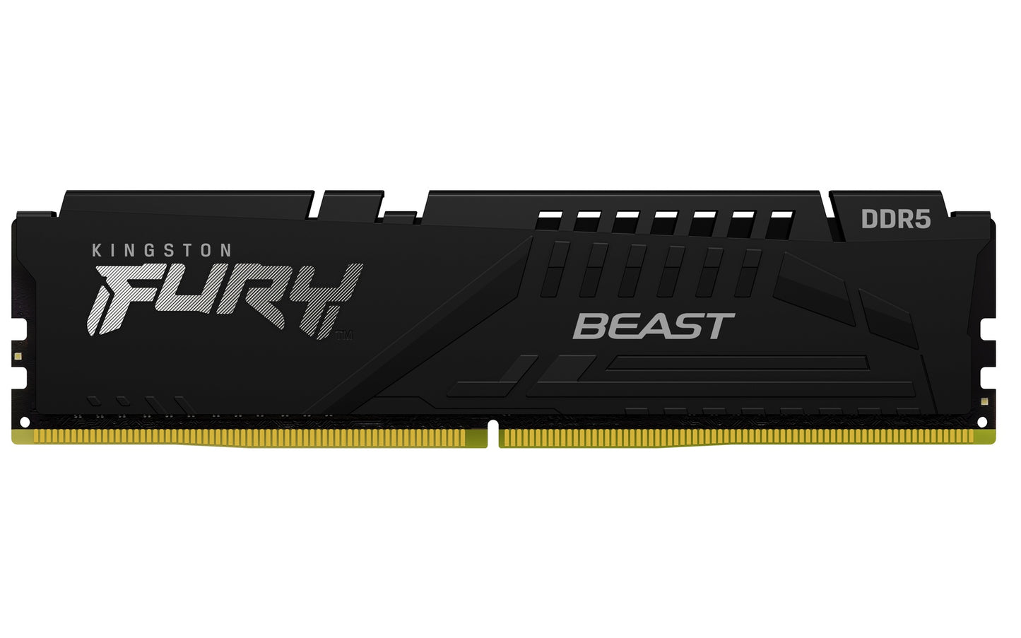 Kingston Technology FURY Beast 8GB 6000MT/s DDR5 CL36 DIMM Black EXPO