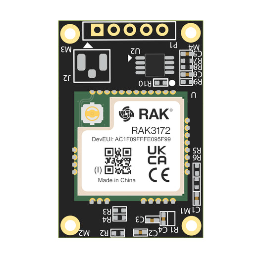STM32WLE5 Core Module for LoRaWAN®