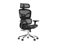 Xtech Paphos Chair Exec Black/w/arm/headrest/mesh XTF-OC415
