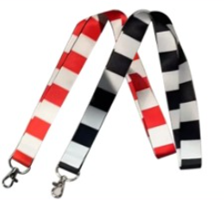 Lanyard de Personal VA21 Milesight