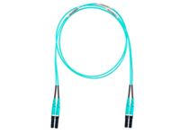 Panduit Opti-Core - Patch cable - LC multi-mode M to LC mu