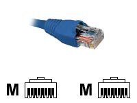 NEXXT PATCH CORD UTP Cat5e 1m. 3ft. CM AZUL