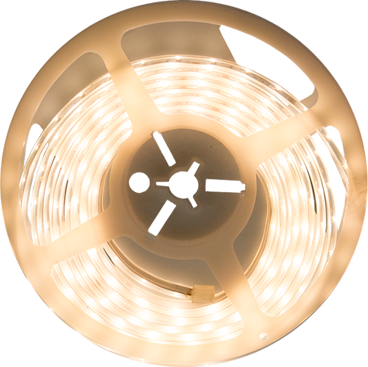 Tira LED LED Blanca SW/WW 12V 3M LED RL 5700-6500/2900-3200K