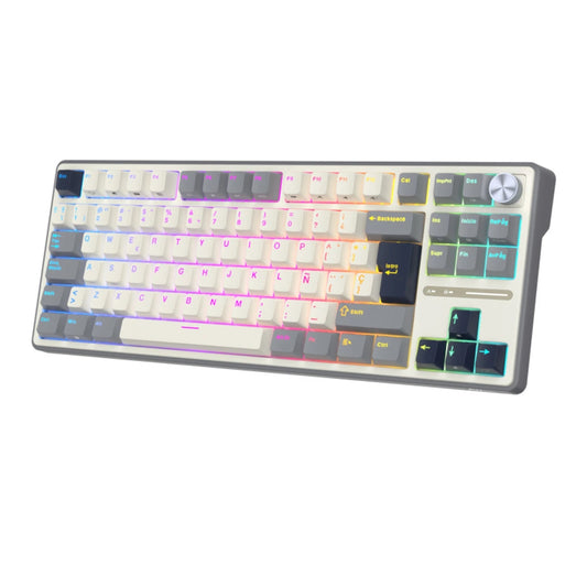 Teclado de Escritura Electromecánico RK R87Pro Semitamaño Gris 80% Idioma Español Pulsadores Rectos – Royal Kludge