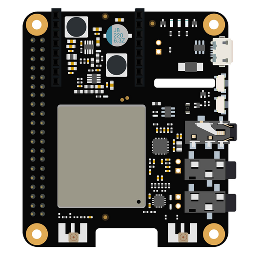 Cellular IoT Pi HAT RAK2013 - EG95-NA