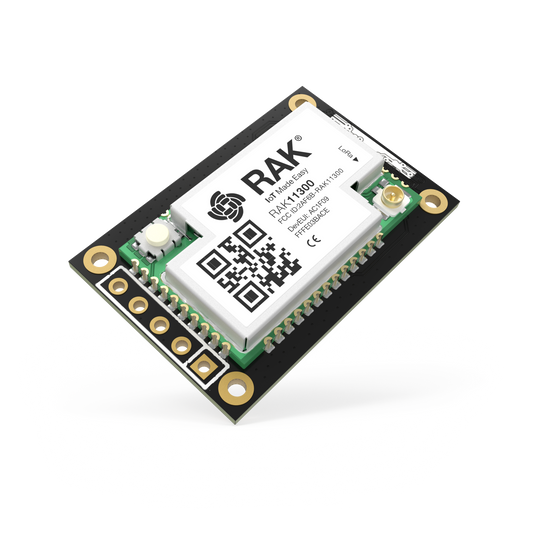 Módulo central Raspberry Pi RP2040 para LoRaWAN con LoRa SX1262