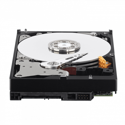 WD11PURZ WESTERNDIGITAL 1TB 64mb 5400rpm Disco Rígido Interno 3,5-pulgadas SATA 6Gb/s