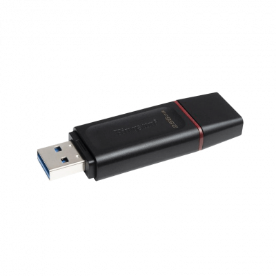 PD-256GB KINGSTON 256GB Pendrive USB3.2 DataTraveler Exodia DTX/256GB