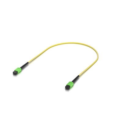 JFSMM05U UI 50 centímetros MPO-MPO 12-Hebras Clasificación-B Monomodo SM Cable de Interconexión Fibra Óptica LSZH