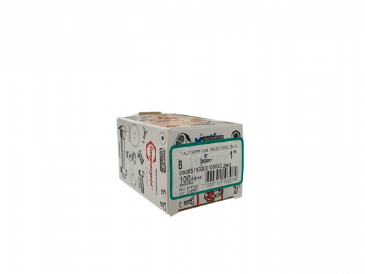 YUL8-08 100-piezas Tornillo autotaladrante cabeza de lenteja 8 x 1-pulgada Longitud-25mm zincado 651532001