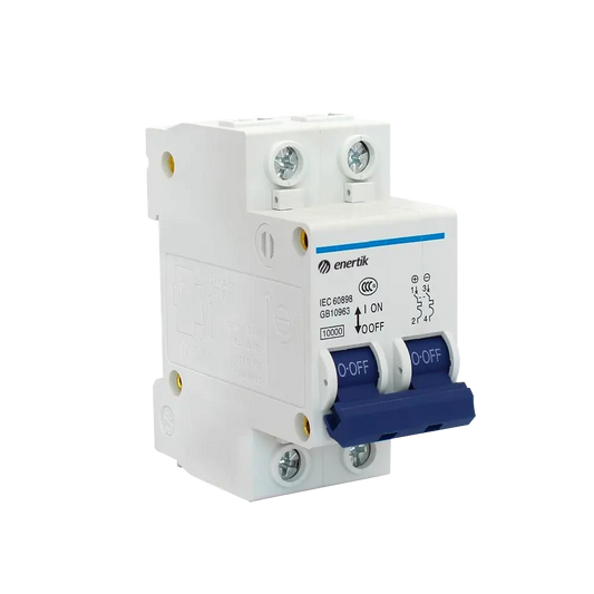 Protector Térmico 440Vcc 100A 2P