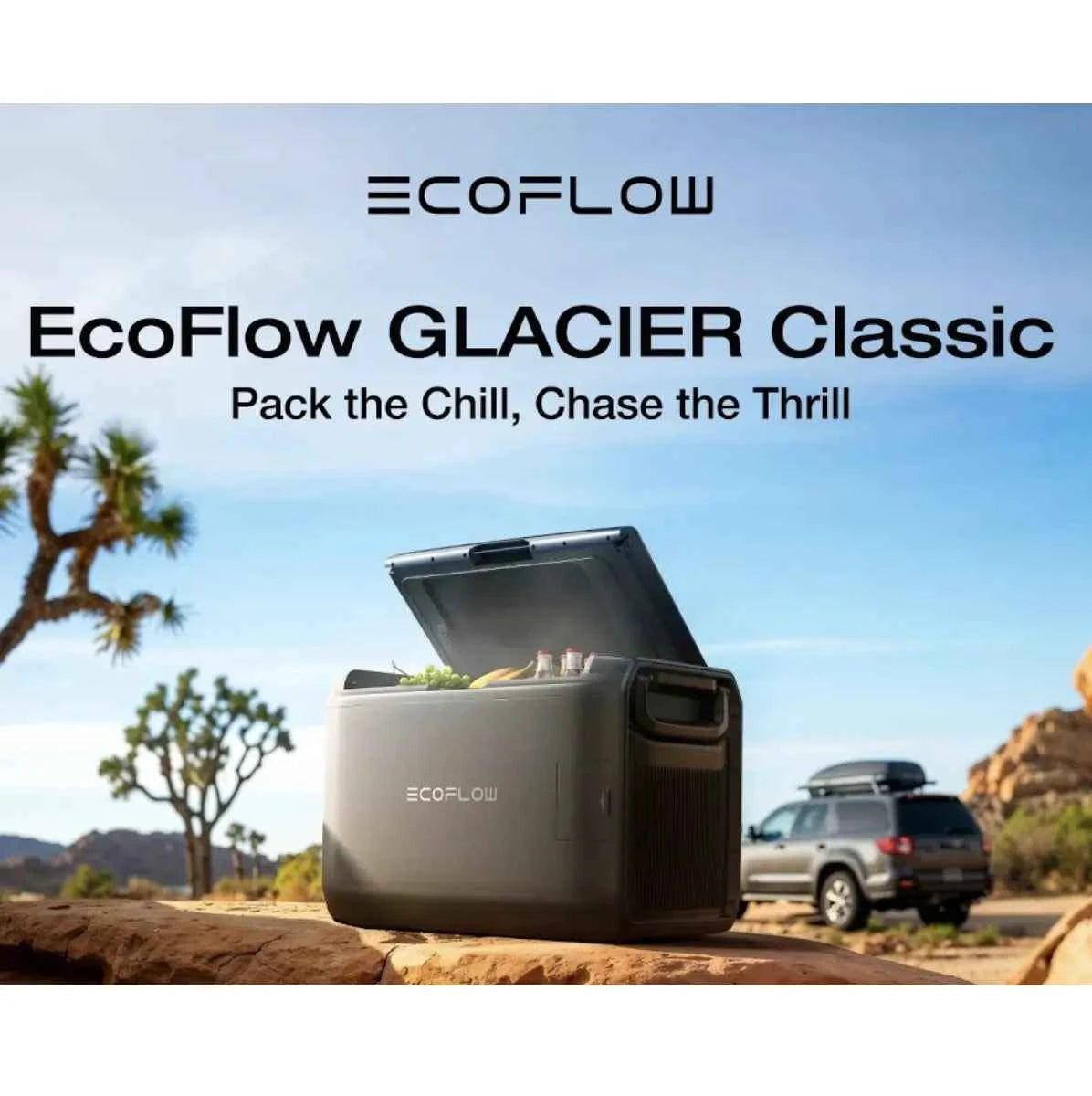 Refrigerador Congelador Portátil EcoFlow – GLACIER Classic 55L