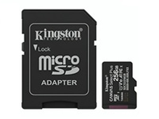 Kingston Tarjeta de Memoria 256GB microSD Canvas Selec