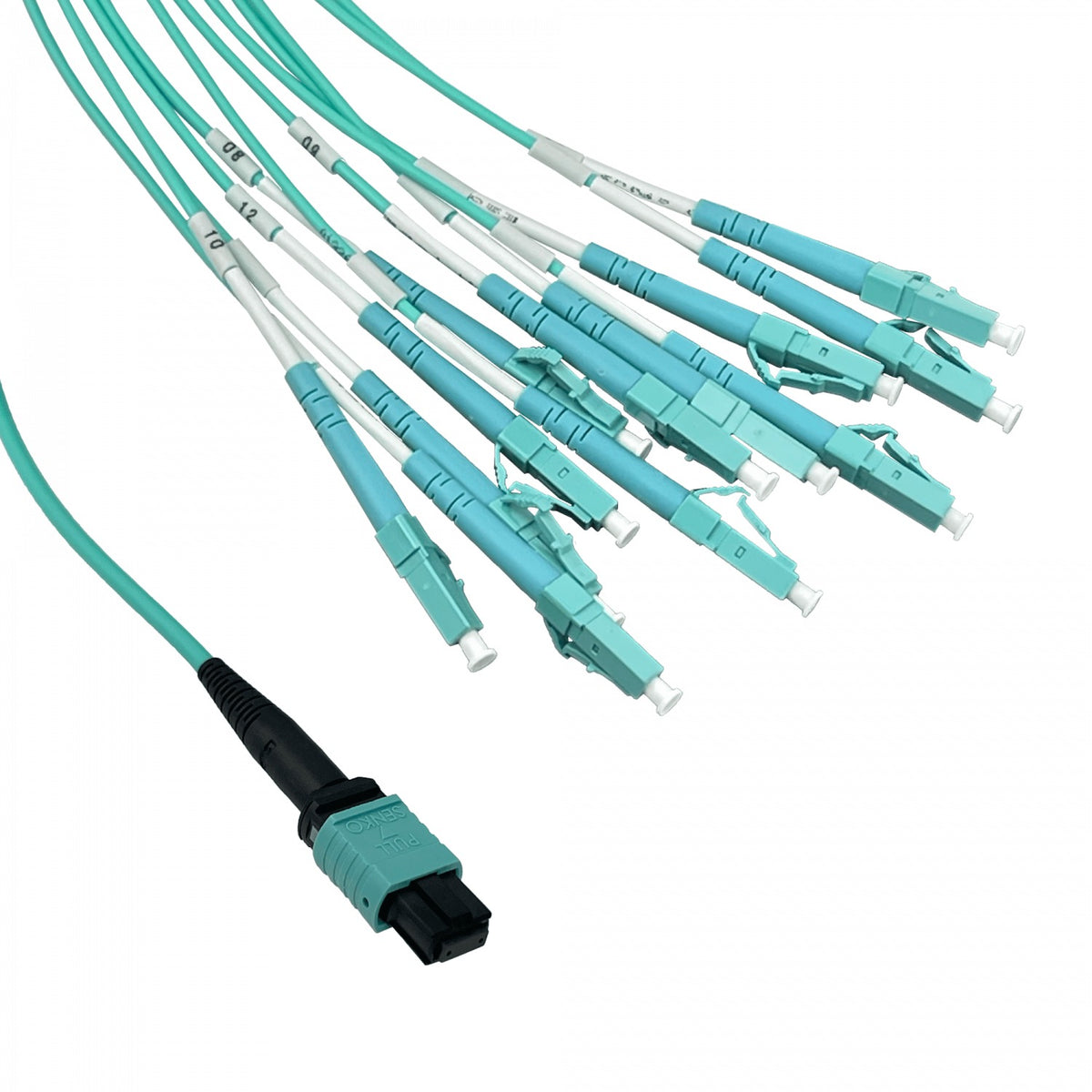 JF3LM6 6mt OM3 12-LC/1,5mt 1-MPO/4,5mt MultiModo MM Jumper Cable Fibra