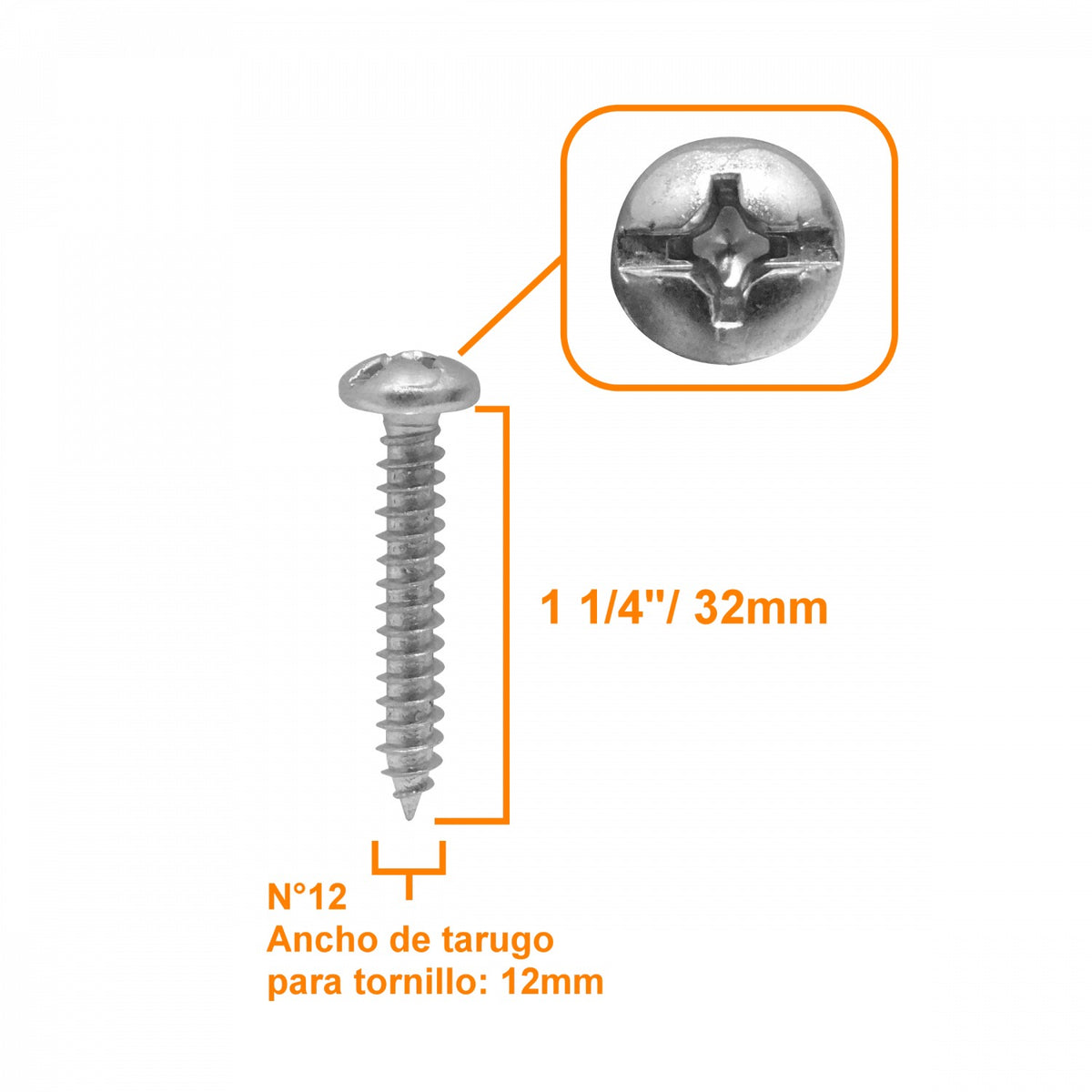 R12-125 20-unids. 12 x 1 1/4 Largo-32mm Plata Cruz Tornillos Roscalata Punta