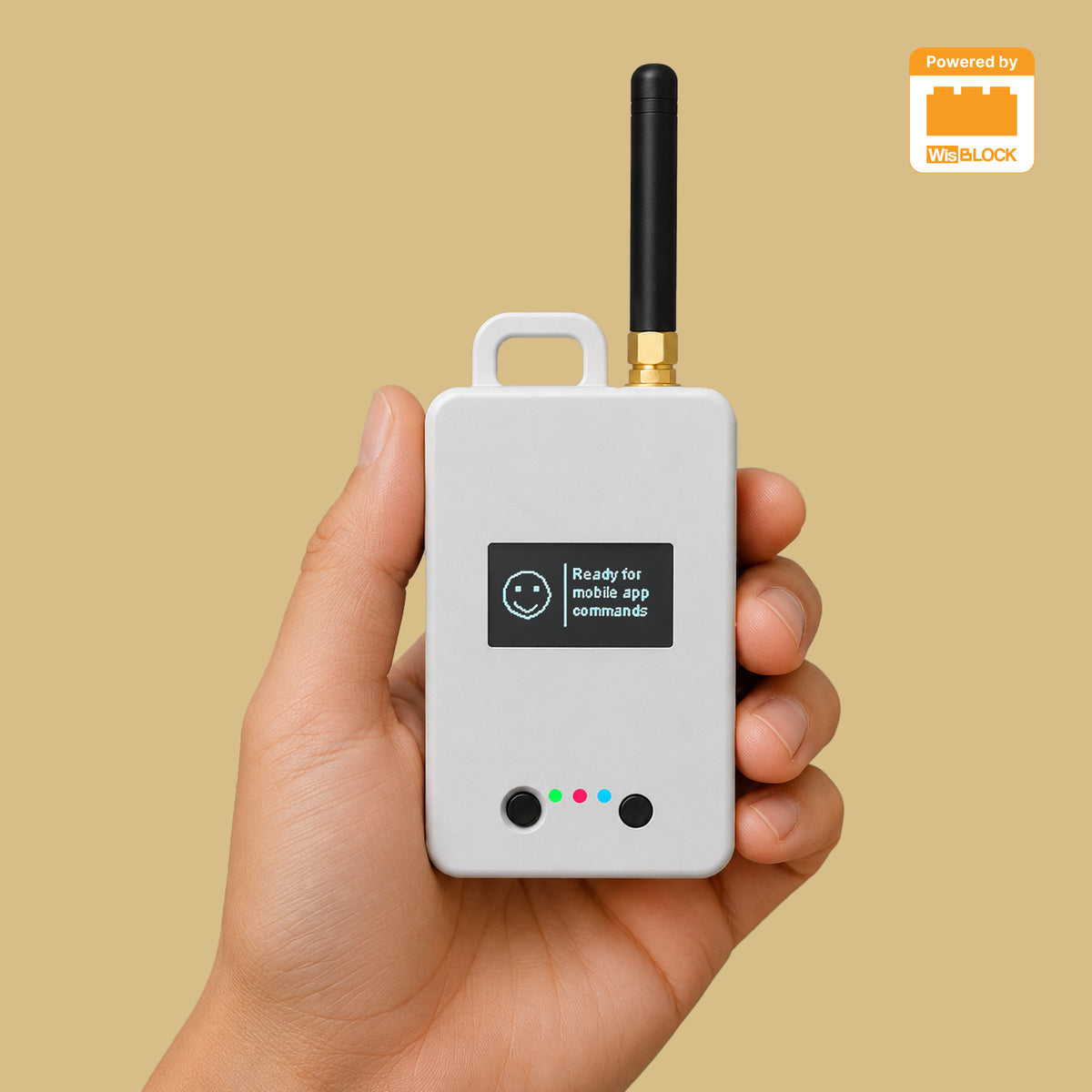 LOPTIMIZER Field Tester for LoRaWAN® by Pilot Things RAK10717 (9XX MHz)