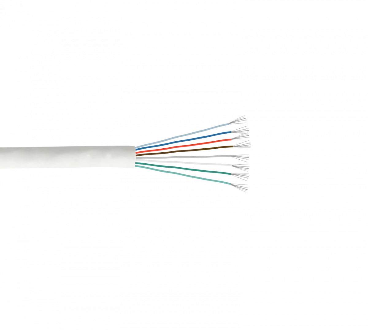 CPG-1 1mt Cat5E Gris Cable Patch Moldeado Multifilar 100cm